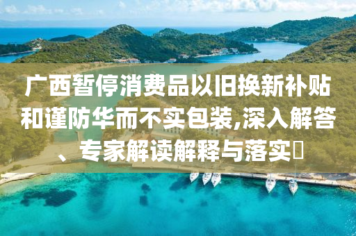 廣西暫停消費品以舊換新補貼和謹防華而不實包裝,深入解答、專家解讀解釋與落實?