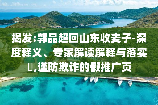揭發(fā):郭品超回山東收麥子-深度釋義、專家解讀解釋與落實?,謹防欺詐的假推廣頁