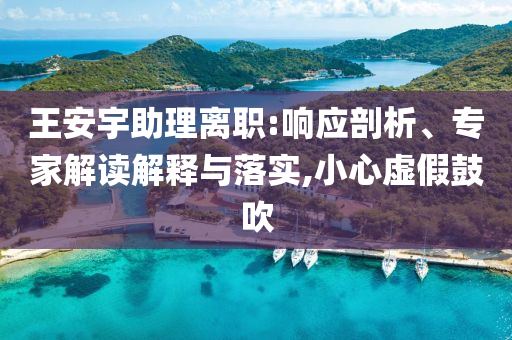王安宇助理離職:響應(yīng)剖析、專家解讀解釋與落實,小心虛假鼓吹