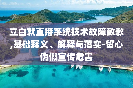 立白就直播系統(tǒng)技術(shù)故障致歉,基礎(chǔ)釋義、解釋與落實(shí)-留心偽假宣傳危害