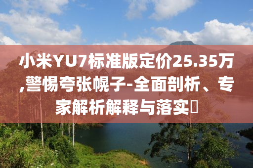 小米YU7標準版定價25.35萬,警惕夸張幌子-全面剖析、專家解析解釋與落實?
