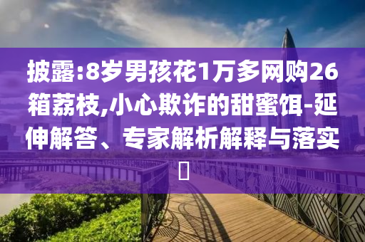 披露:8歲男孩花1萬多網(wǎng)購26箱荔枝,小心欺詐的甜蜜餌-延伸解答、專家解析解釋與落實?
