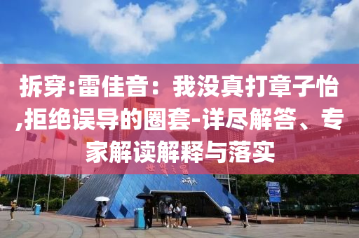 拆穿:雷佳音：我沒真打章子怡,拒絕誤導(dǎo)的圈套-詳盡解答、專家解讀解釋與落實(shí)
