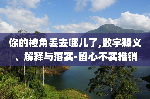 你的棱角丟去哪兒了,數(shù)字釋義、解釋與落實(shí)-留心不實(shí)推銷