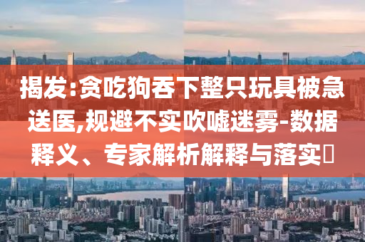 揭發(fā):貪吃狗吞下整只玩具被急送醫(yī),規(guī)避不實(shí)吹噓迷霧-數(shù)據(jù)釋義、專家解析解釋與落實(shí)?