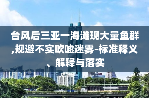 臺(tái)風(fēng)后三亞一海灘現(xiàn)大量魚(yú)群,規(guī)避不實(shí)吹噓迷霧-標(biāo)準(zhǔn)釋義、解釋與落實(shí)