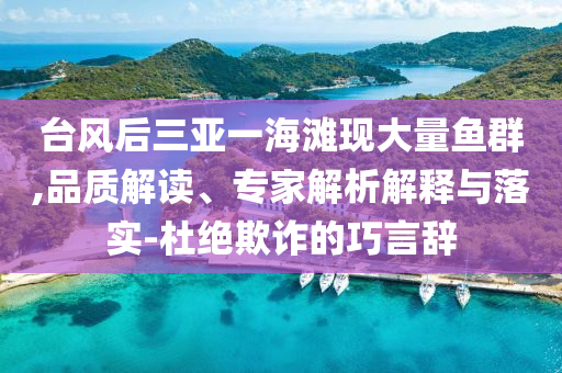 臺(tái)風(fēng)后三亞一海灘現(xiàn)大量魚群,品質(zhì)解讀、專家解析解釋與落實(shí)-杜絕欺詐的巧言辭