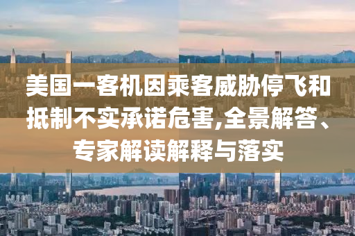 美國(guó)一客機(jī)因乘客威脅停飛和抵制不實(shí)承諾危害,全景解答、專家解讀解釋與落實(shí)