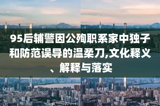 95后輔警因公殉職系家中獨(dú)子和防范誤導(dǎo)的溫柔刀,文化釋義、解釋與落實(shí)