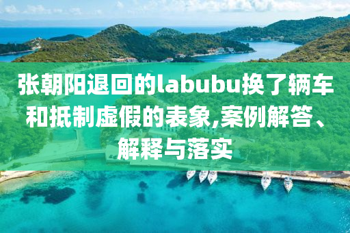張朝陽退回的labubu換了輛車和抵制虛假的表象,案例解答、解釋與落實