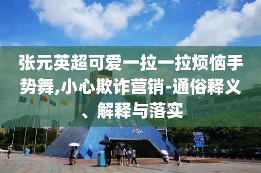 張元英超可愛一拉一拉煩惱手勢舞,小心欺詐營銷-通俗釋義、解釋與落實