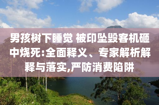 男孩樹下睡覺 被印墜毀客機(jī)砸中燒死:全面釋義、專家解析解釋與落實,嚴(yán)防消費陷阱