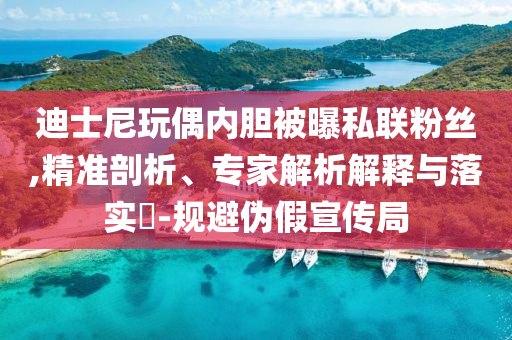 迪士尼玩偶內(nèi)膽被曝私聯(lián)粉絲,精準(zhǔn)剖析、專家解析解釋與落實(shí)?-規(guī)避偽假宣傳局