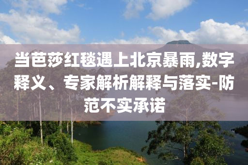當(dāng)芭莎紅毯遇上北京暴雨,數(shù)字釋義、專家解析解釋與落實(shí)-防范不實(shí)承諾