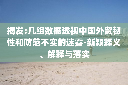 揭發(fā):幾組數(shù)據(jù)透視中國外貿韌性和防范不實的迷霧-新穎釋義、解釋與落實