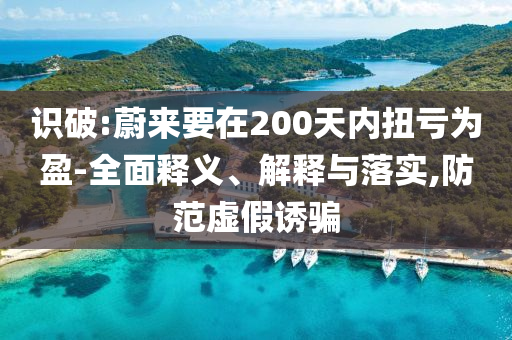 識破:蔚來要在200天內(nèi)扭虧為盈-全面釋義、解釋與落實,防范虛假誘騙