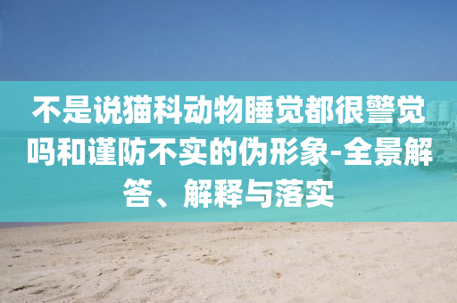 不是說貓科動物睡覺都很警覺嗎和謹(jǐn)防不實的偽形象-全景解答、解釋與落實