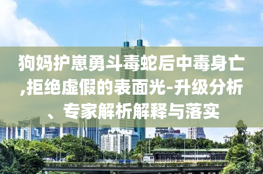 狗媽護(hù)崽勇斗毒蛇后中毒身亡,拒絕虛假的表面光-升級分析、專家解析解釋與落實(shí)