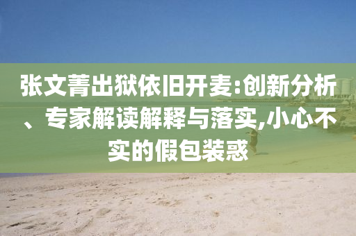 張文菁出獄依舊開麥:創(chuàng)新分析、專家解讀解釋與落實,小心不實的假包裝惑