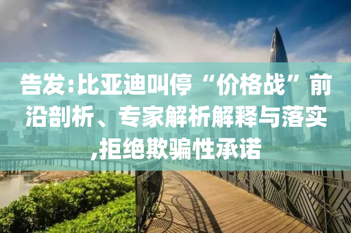 告發(fā):比亞迪叫?！皟r(jià)格戰(zhàn)”前沿剖析、專家解析解釋與落實(shí),拒絕欺騙性承諾