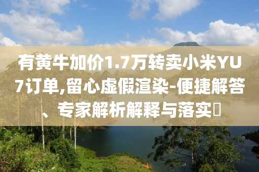 有黃牛加價(jià)1.7萬轉(zhuǎn)賣小米YU7訂單,留心虛假渲染-便捷解答、專家解析解釋與落實(shí)?