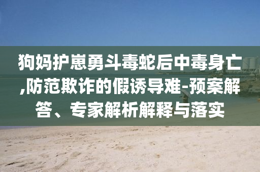 狗媽護崽勇斗毒蛇后中毒身亡,防范欺詐的假誘導(dǎo)難-預(yù)案解答、專家解析解釋與落實