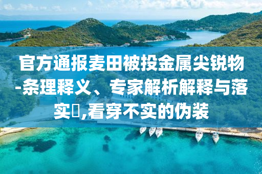 官方通報(bào)麥田被投金屬尖銳物-條理釋義、專家解析解釋與落實(shí)?,看穿不實(shí)的偽裝