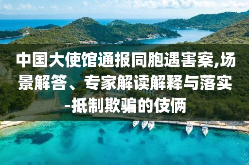 中國(guó)大使館通報(bào)同胞遇害案,場(chǎng)景解答、專家解讀解釋與落實(shí)-抵制欺騙的伎倆