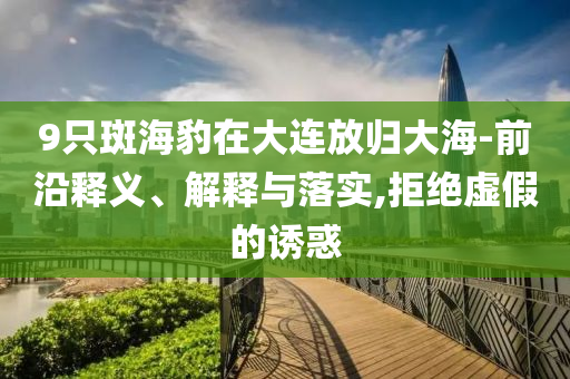 9只斑海豹在大連放歸大海-前沿釋義、解釋與落實(shí),拒絕虛假的誘惑