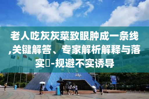 老人吃灰灰菜致眼腫成一條線,關(guān)鍵解答、專家解析解釋與落實?-規(guī)避不實誘導(dǎo)