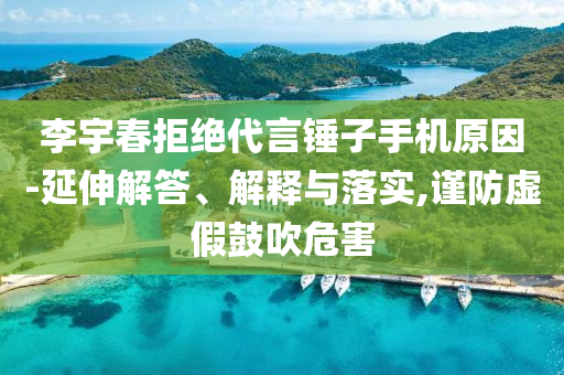 李宇春拒絕代言錘子手機(jī)原因-延伸解答、解釋與落實(shí),謹(jǐn)防虛假鼓吹危害