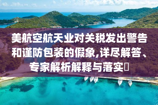 美航空航天業(yè)對關稅發(fā)出警告和謹防包裝的假象,詳盡解答、專家解析解釋與落實?