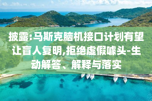披露:馬斯克腦機(jī)接口計(jì)劃有望讓盲人復(fù)明,拒絕虛假噱頭-生動(dòng)解答、解釋與落實(shí)