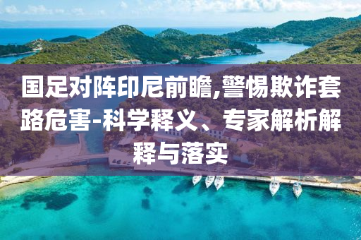 國(guó)足對(duì)陣印尼前瞻,警惕欺詐套路危害-科學(xué)釋義、專家解析解釋與落實(shí)