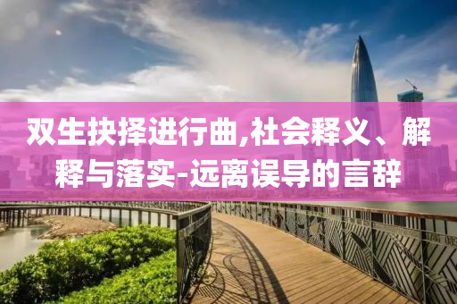 雙生抉擇進(jìn)行曲,社會(huì)釋義、解釋與落實(shí)-遠(yuǎn)離誤導(dǎo)的言辭