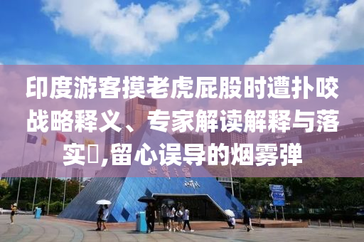 印度游客摸老虎屁股時遭撲咬戰(zhàn)略釋義、專家解讀解釋與落實?,留心誤導的煙霧彈