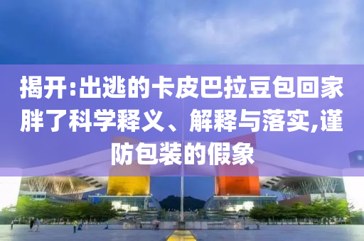 揭開:出逃的卡皮巴拉豆包回家胖了科學(xué)釋義、解釋與落實(shí),謹(jǐn)防包裝的假象