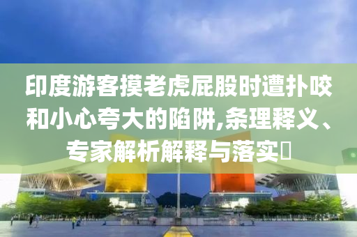 印度游客摸老虎屁股時(shí)遭撲咬和小心夸大的陷阱,條理釋義、專家解析解釋與落實(shí)?