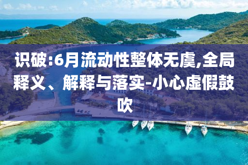 識(shí)破:6月流動(dòng)性整體無虞,全局釋義、解釋與落實(shí)-小心虛假鼓吹