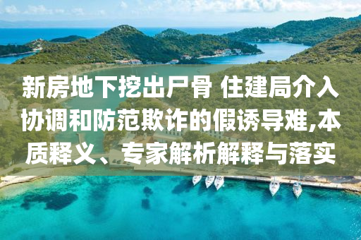 新房地下挖出尸骨 住建局介入?yún)f(xié)調和防范欺詐的假誘導難,本質釋義、專家解析解釋與落實