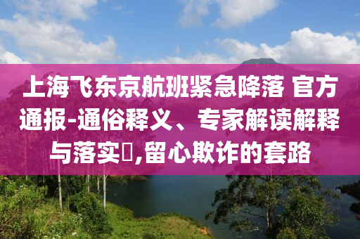 上海飛東京航班緊急降落 官方通報-通俗釋義、專家解讀解釋與落實?,留心欺詐的套路
