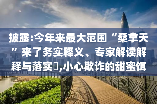 披露:今年來最大范圍“桑拿天”來了務(wù)實釋義、專家解讀解釋與落實?,小心欺詐的甜蜜餌