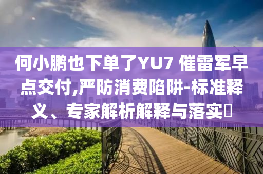 何小鵬也下單了YU7 催雷軍早點交付,嚴(yán)防消費陷阱-標(biāo)準(zhǔn)釋義、專家解析解釋與落實?