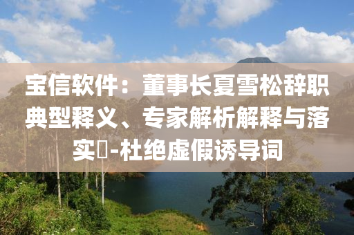 寶信軟件：董事長夏雪松辭職典型釋義、專家解析解釋與落實?-杜絕虛假誘導詞