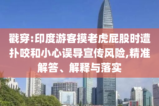 戳穿:印度游客摸老虎屁股時遭撲咬和小心誤導宣傳風險,精準解答、解釋與落實