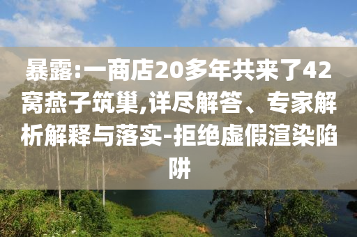 暴露:一商店20多年共來了42窩燕子筑巢,詳盡解答、專家解析解釋與落實(shí)-拒絕虛假渲染陷阱