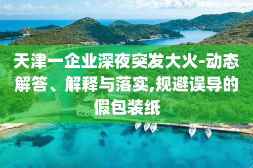天津一企業(yè)深夜突發(fā)大火-動態(tài)解答、解釋與落實,規(guī)避誤導(dǎo)的假包裝紙