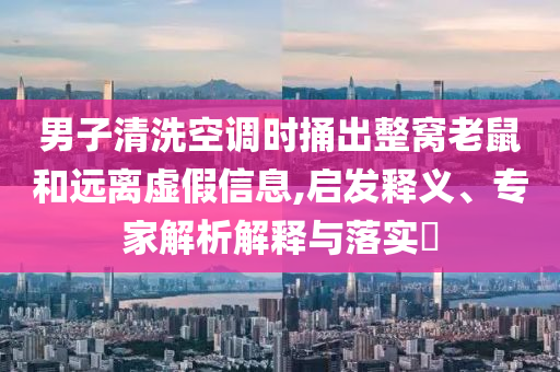 男子清洗空調(diào)時捅出整窩老鼠和遠離虛假信息,啟發(fā)釋義、專家解析解釋與落實?