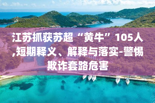 江蘇抓獲蘇超“黃?！?05人,短期釋義、解釋與落實-警惕欺詐套路危害