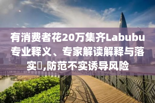 有消費(fèi)者花20萬集齊Labubu專業(yè)釋義、專家解讀解釋與落實(shí)?,防范不實(shí)誘導(dǎo)風(fēng)險(xiǎn)